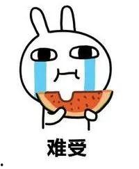 单身人士可以吃瓜,揭秘单身人士的美食生活圈