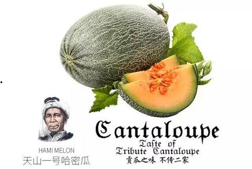 吃瓜影号,吃瓜影号带你领略幕后风云