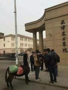 天津美院吃瓜,揭秘校园风云背后的真相