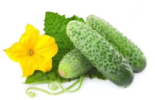 吃瓜系统江小渔