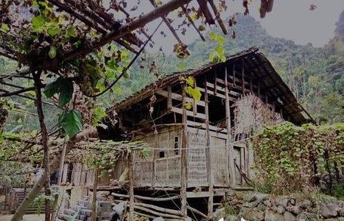 道士捡瓜吃,意外发现千年古瓜，传承神秘传说