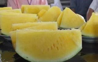 风味吃瓜,探寻美食与文化的奇妙交融