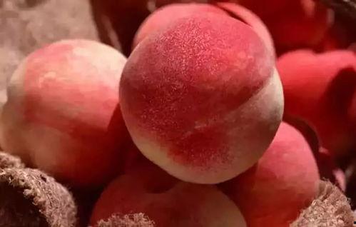 吃瓜和吃桃网红词