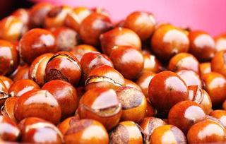 孕妇可以吃鸭瓜吗