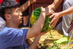 各个高校吃瓜视频